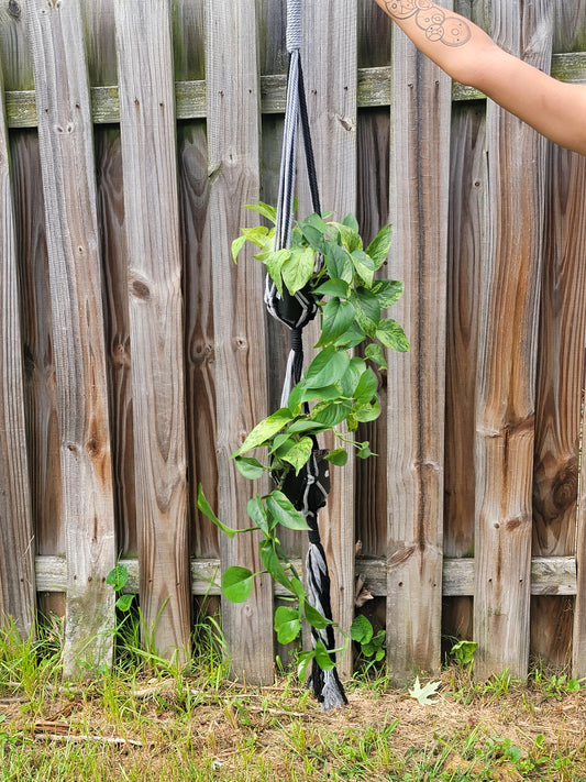 Double Plant Hanger