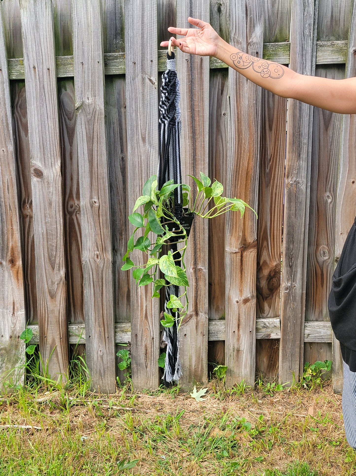 Single Plant Hanger